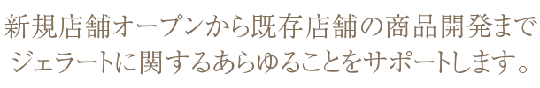 新規店舗オープンから既存店舗の商品開発までジェラートに関するあらゆることをサポートします。